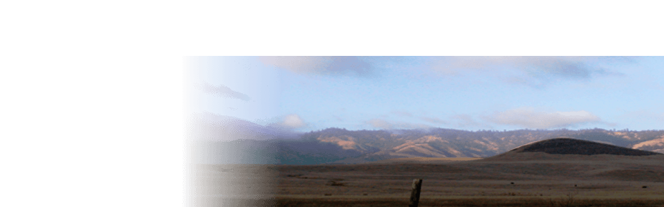 Slide background